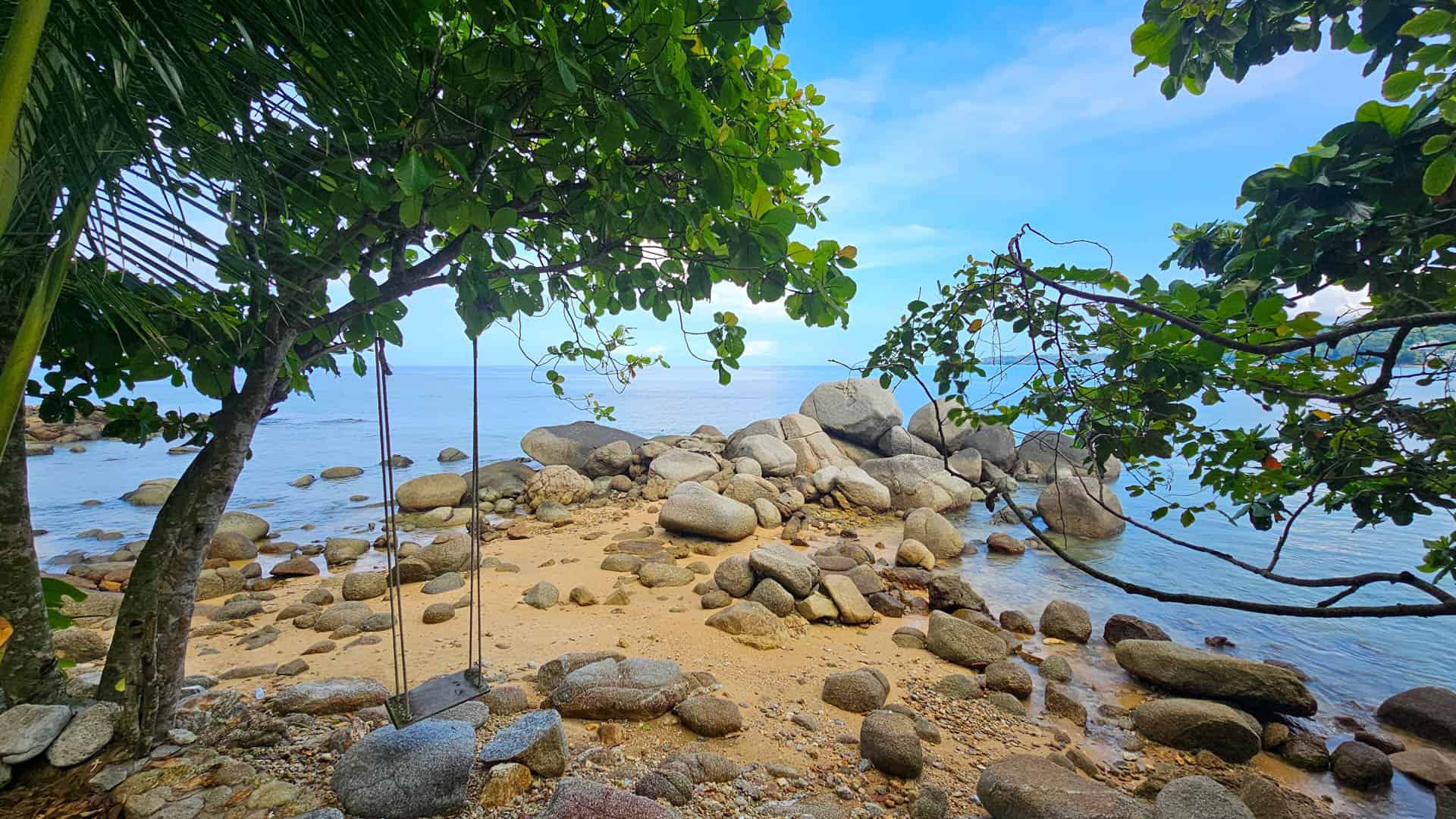 A rope swing beneath coastal trees, overlooking rocks and the sea along the estate's coastline