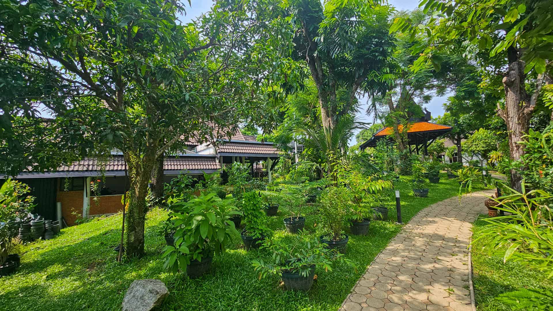 A garden path through mature tropical trees and planting at Kamala Beach Estate