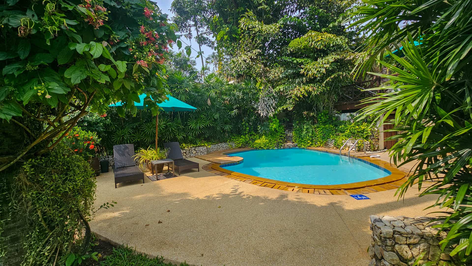 The smaller swimming pool surrounded by tropical greenery